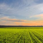 Intuitive Forecast of Agriculture Investment Trends of 2024