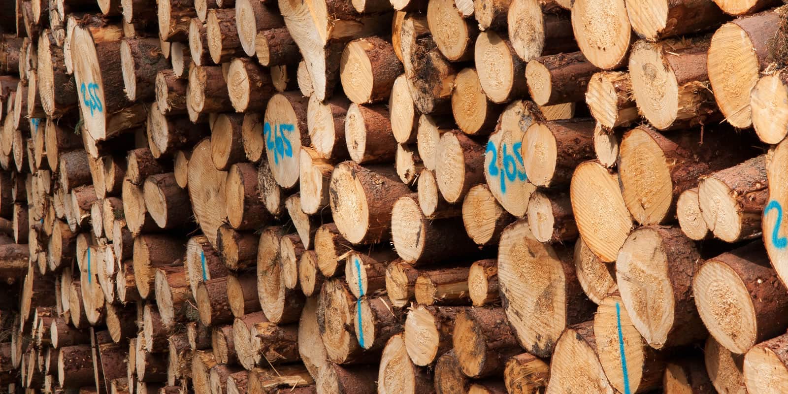 Know Your Numbers: Does Your Timber or Wood Market “Balance”? - LANDTHINK