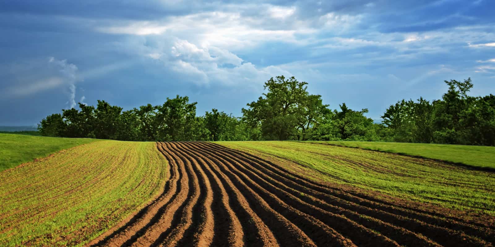 How Much Can You Make Leasing Farmland