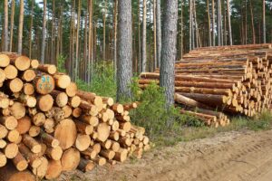 Local Log Markets and the Migration of Softwood Lumber Capacity Across North America