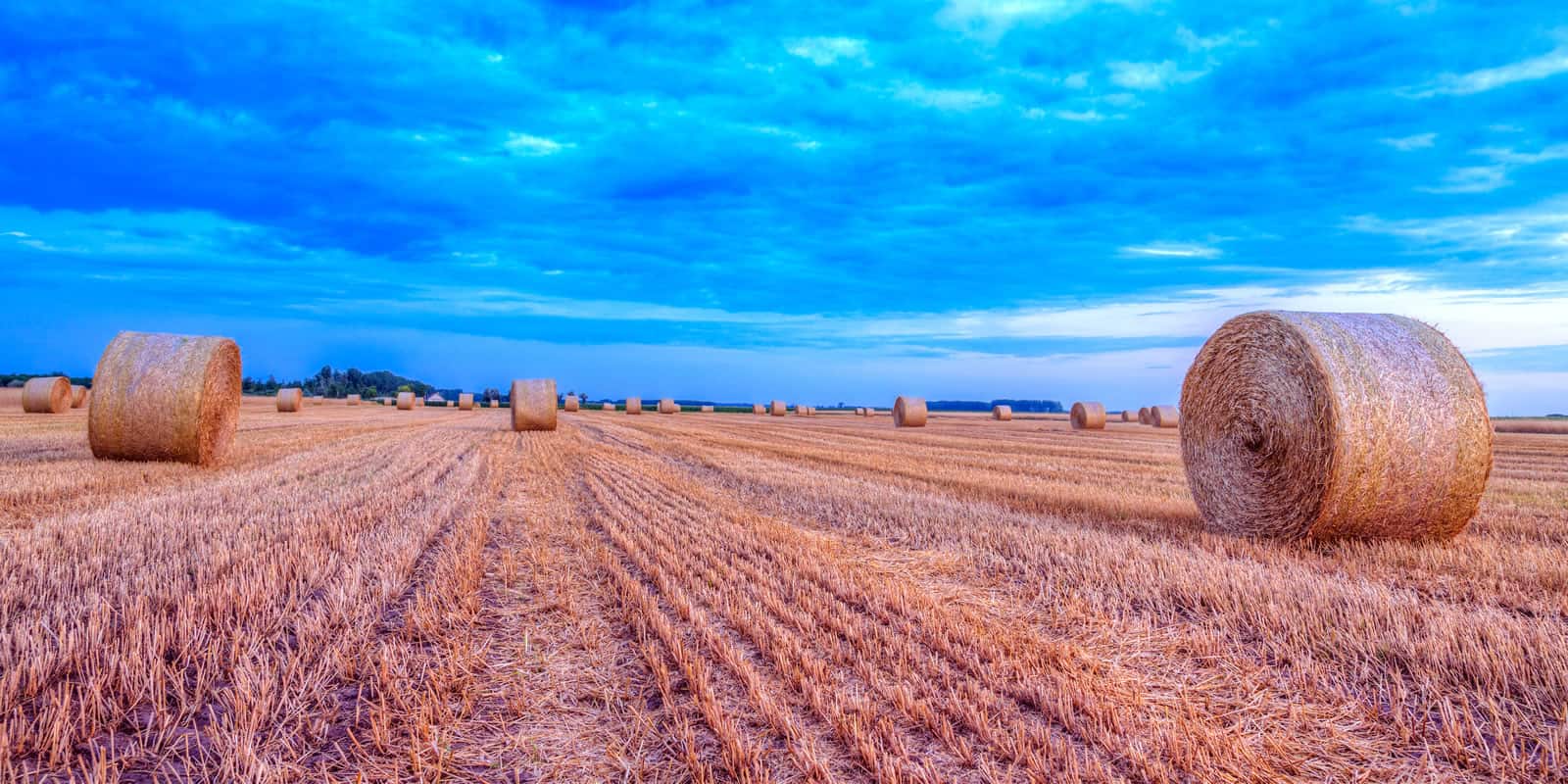 Making The Financial Argument For Farmland Investing Landthink