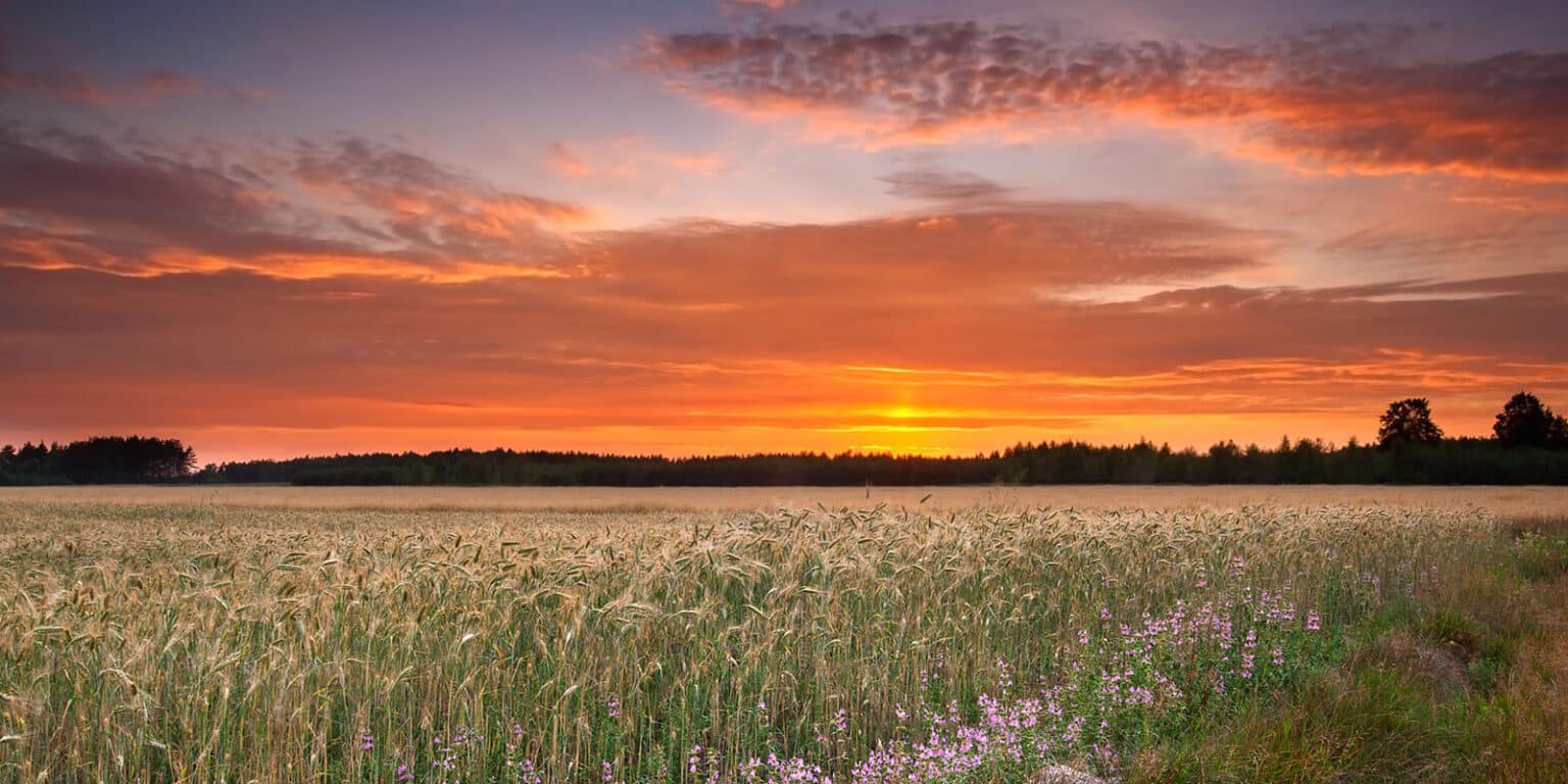 Owning Rural Land Offers Returns That Exceed The Financial LANDTHINK