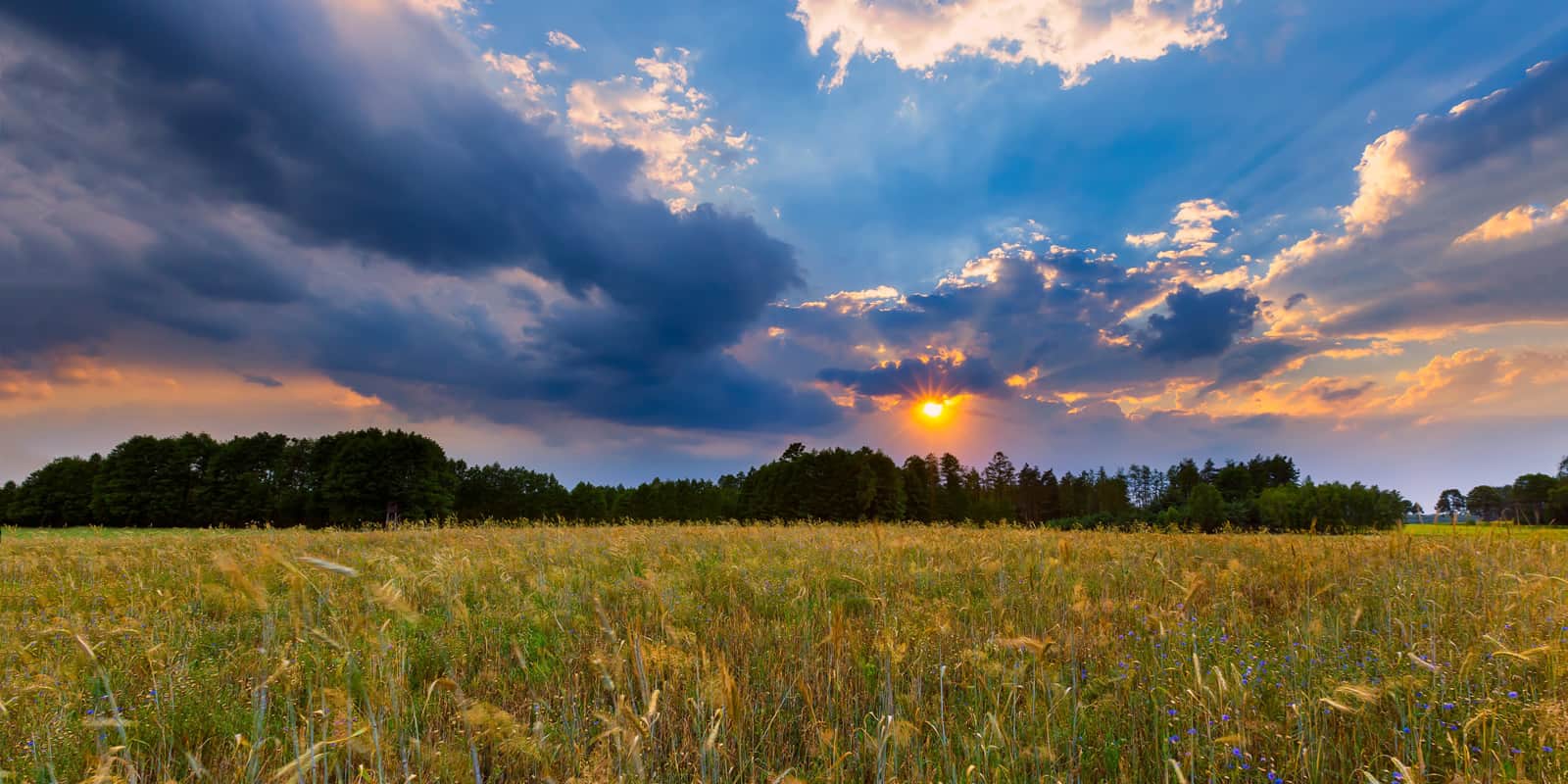 Pulse: Retirement Plans Wield Mighty Influence on Land Buying Sentiment ...