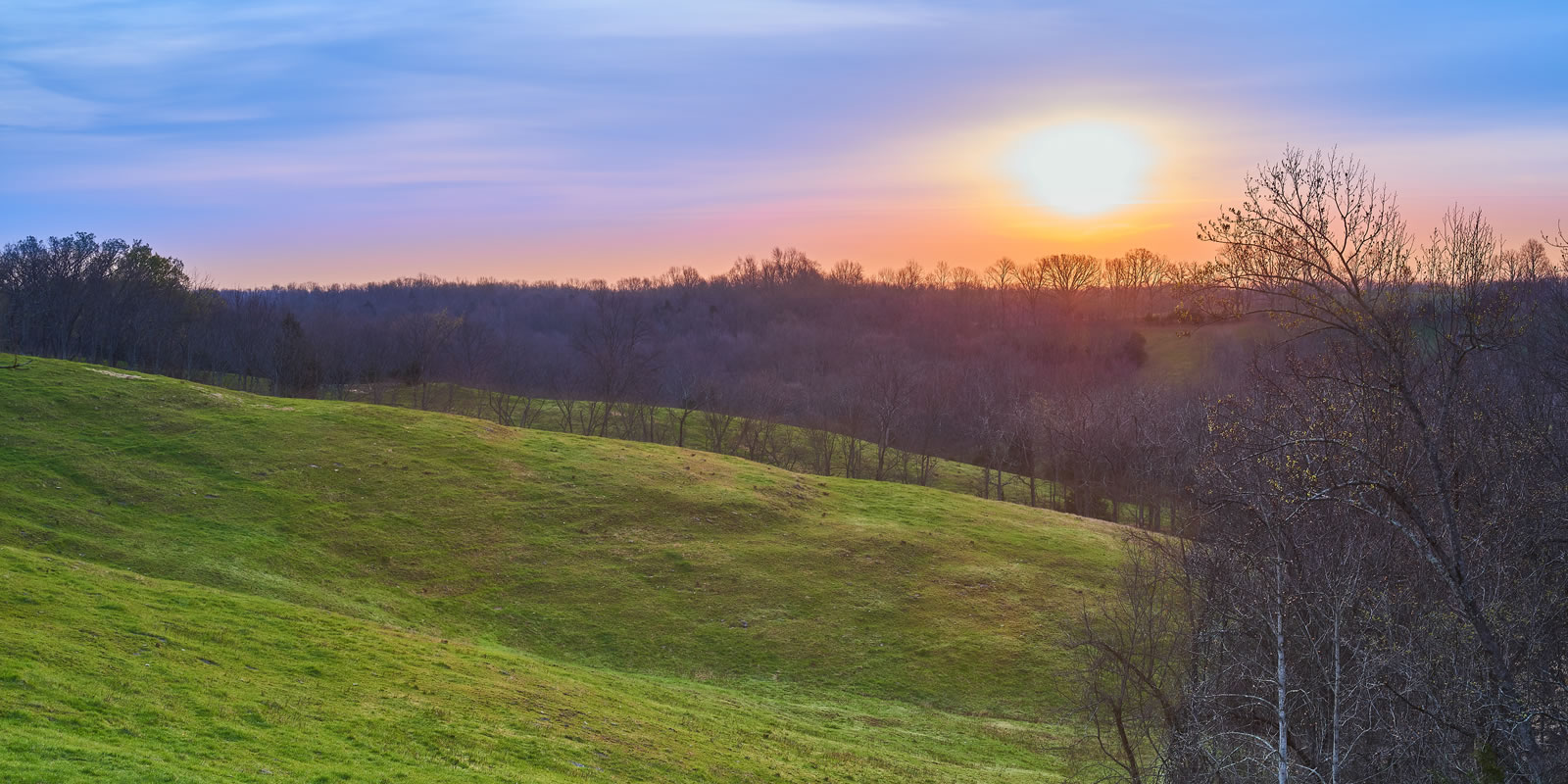 Pulse: Signs of a Brewing Land Bubble - LANDTHINK