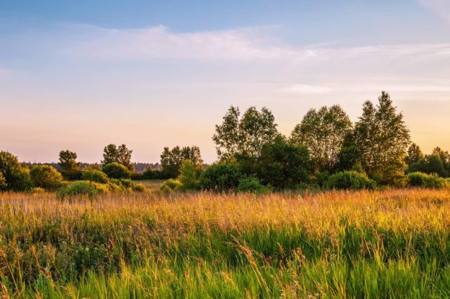 LANDTHINK Pulse: Owning Land Adjoining a National Forest, Park, or ...