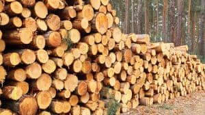 Softwood Lumber in North America and Timber in the Pacific Northwest ...