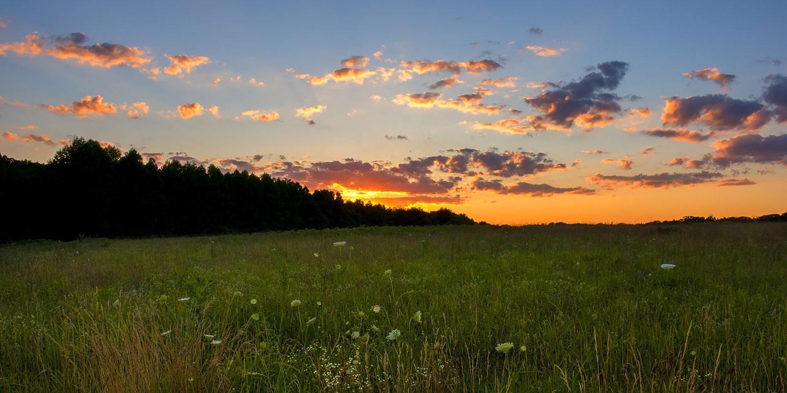 Starlink: Promising Internet Solution for Rural Land Buyers - LANDTHINK