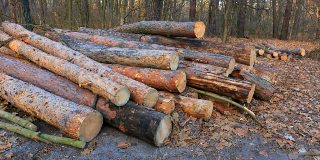 U.S. Timber Price Forecasts: Framing the Outlook for 2013 - LANDTHINK