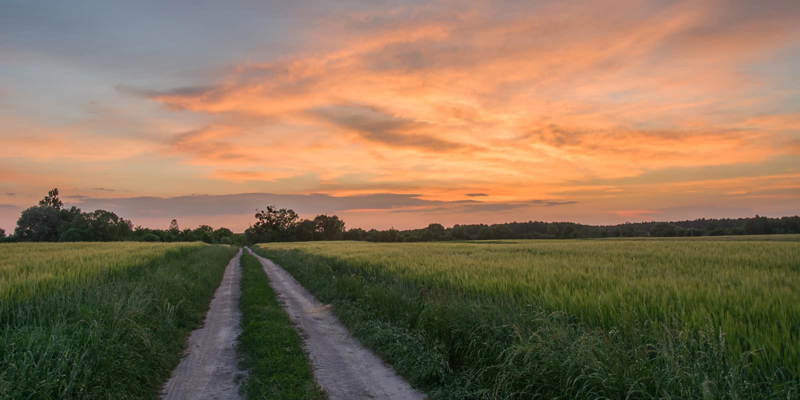 top-tips-for-listing-land-for-sale-landthink