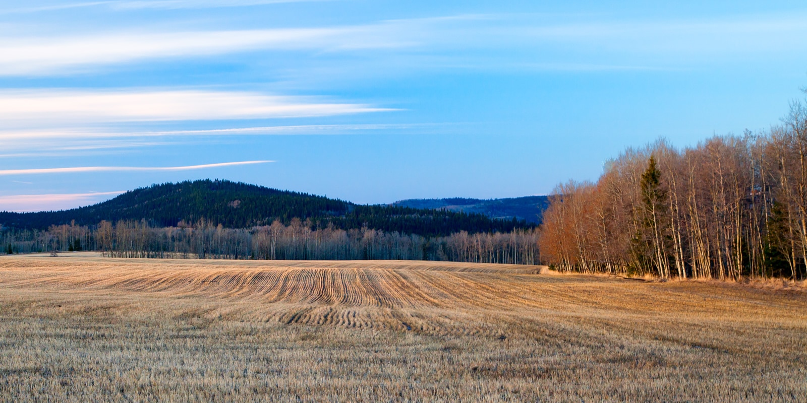 Dealing with Undivided Interest in Rural Land - LANDTHINK