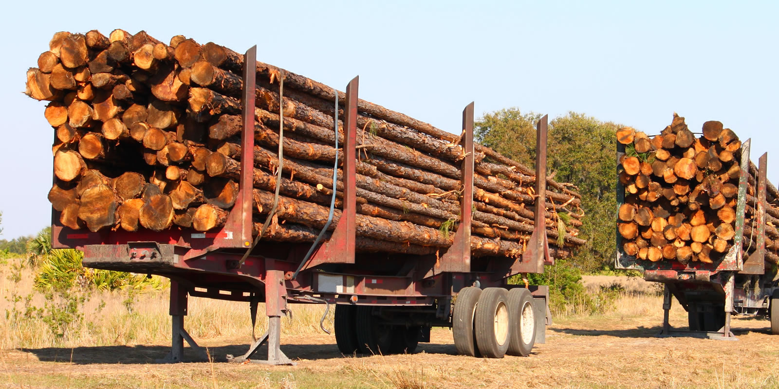 Wood Fiber Markets and Timberland Investing - LANDTHINK